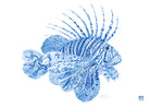 'Little F*cker' Fine Art Print by Artist Chris Chun. Chinoiserie inspired Lionfish.