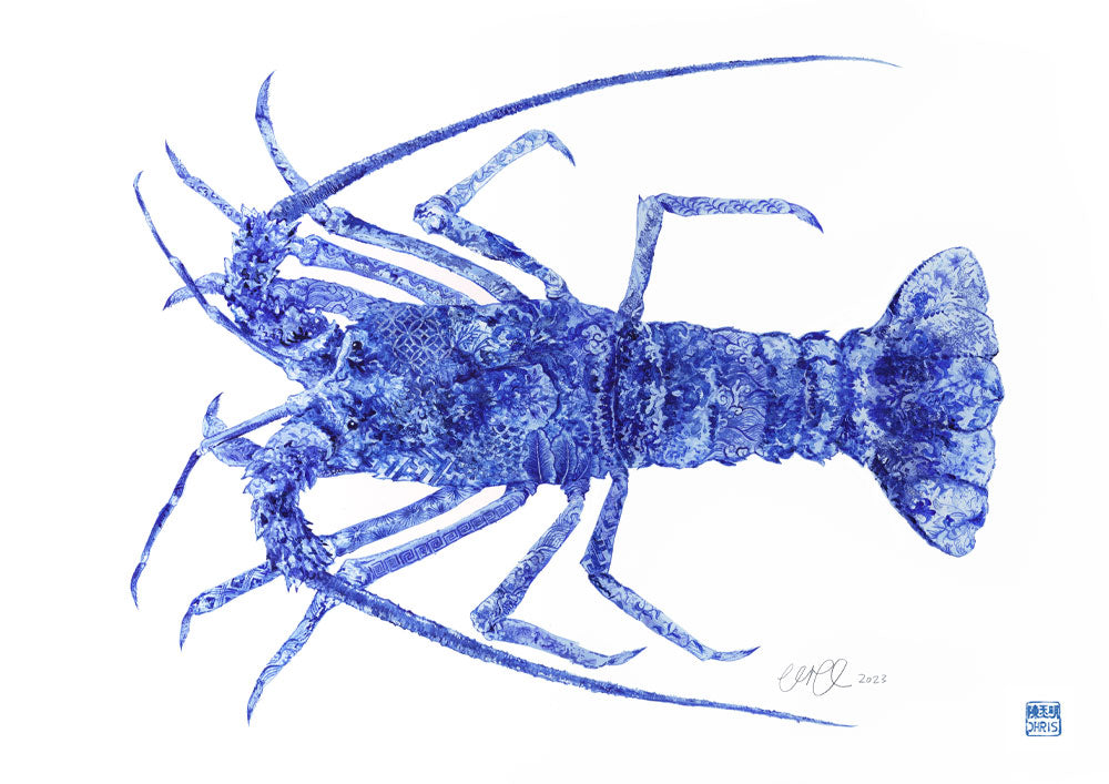 Southern Rock Lobster Art Print by Artist Chris Chun