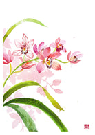 ChrisChun_Cymbidium_Unframed