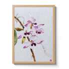 Dendrobium Parishii Orchid Fine Art Print by artist Chris Chun. Archival Print on Awagami Handcrafted Unryu Paper. 