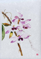 Dendrobium Parishii Orchid Fine Art Print by artist Chris Chun. Archival Print on Awagami Handcrafted Unryu Paper. 