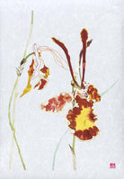 Psychopsis Papilio Orchid Fine Art Print by artist Chris Chun. Archival Print on Awagami Handcrafted Unryu Paper.