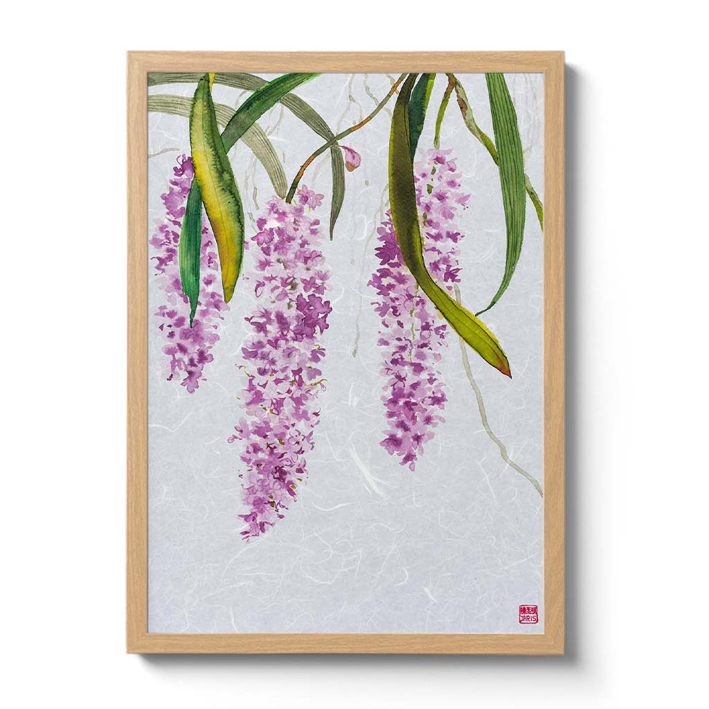 Rhynchostylis Retusa Orchid Fine Art Print by artist Chris Chun. Archival Print on Awagami Handcrafted Unryu Paper.