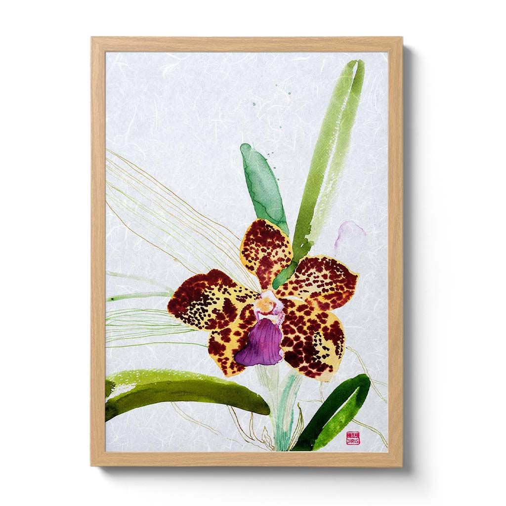 Vanda Kultana Fragrance Orchid Fine Art Print by artist Chris Chun. Archival Print on Awagami Handcrafted Unryu Paper. 